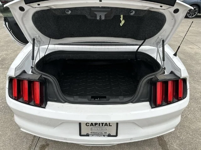 Used 2016 White Ford V6 image 24