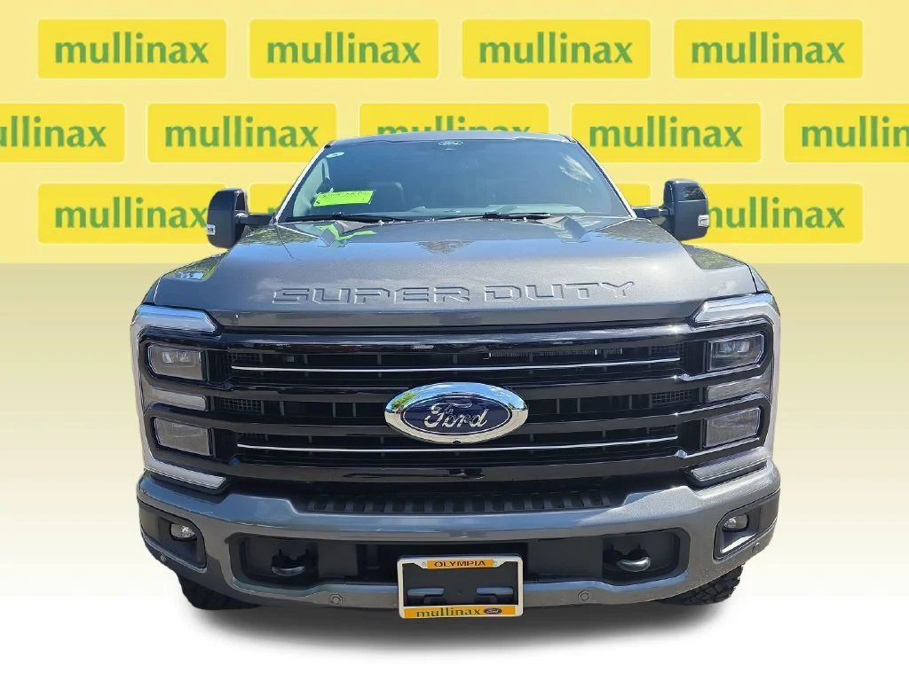 New 2026 Gray Ford Platinum image 11