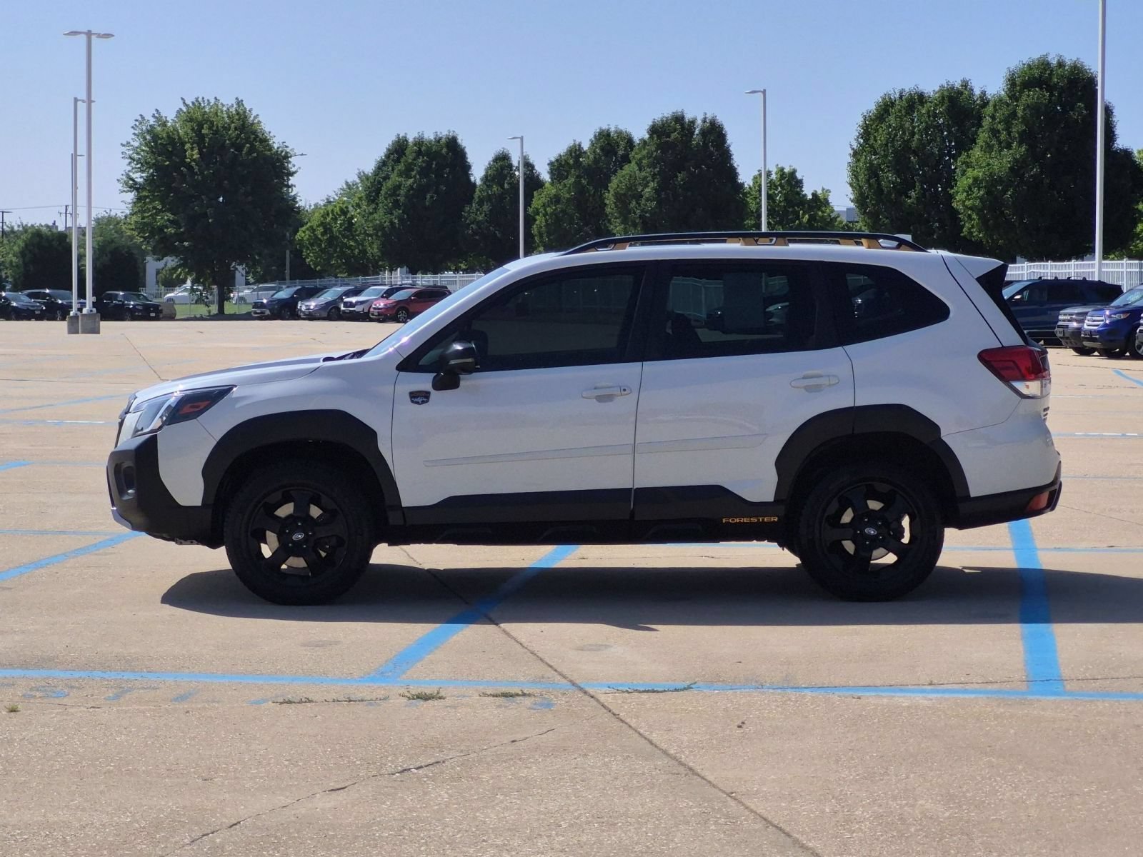 Used 2022 Crystal White Pearl Subaru Wilderness image 9