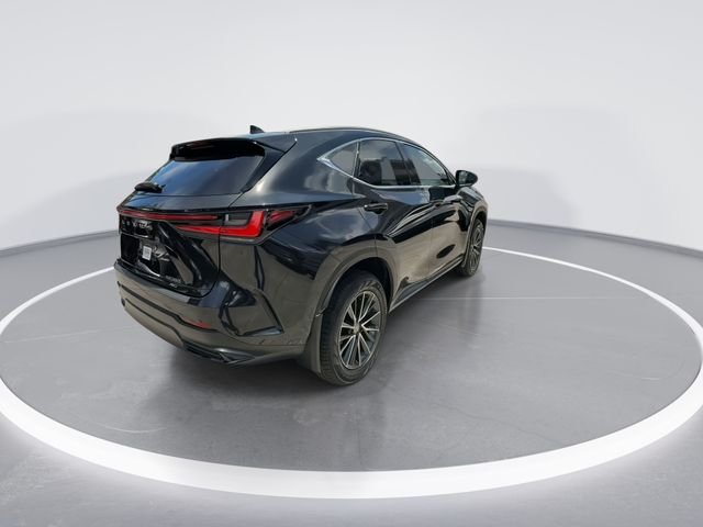 2024 Lexus NX 350 - Photo 7