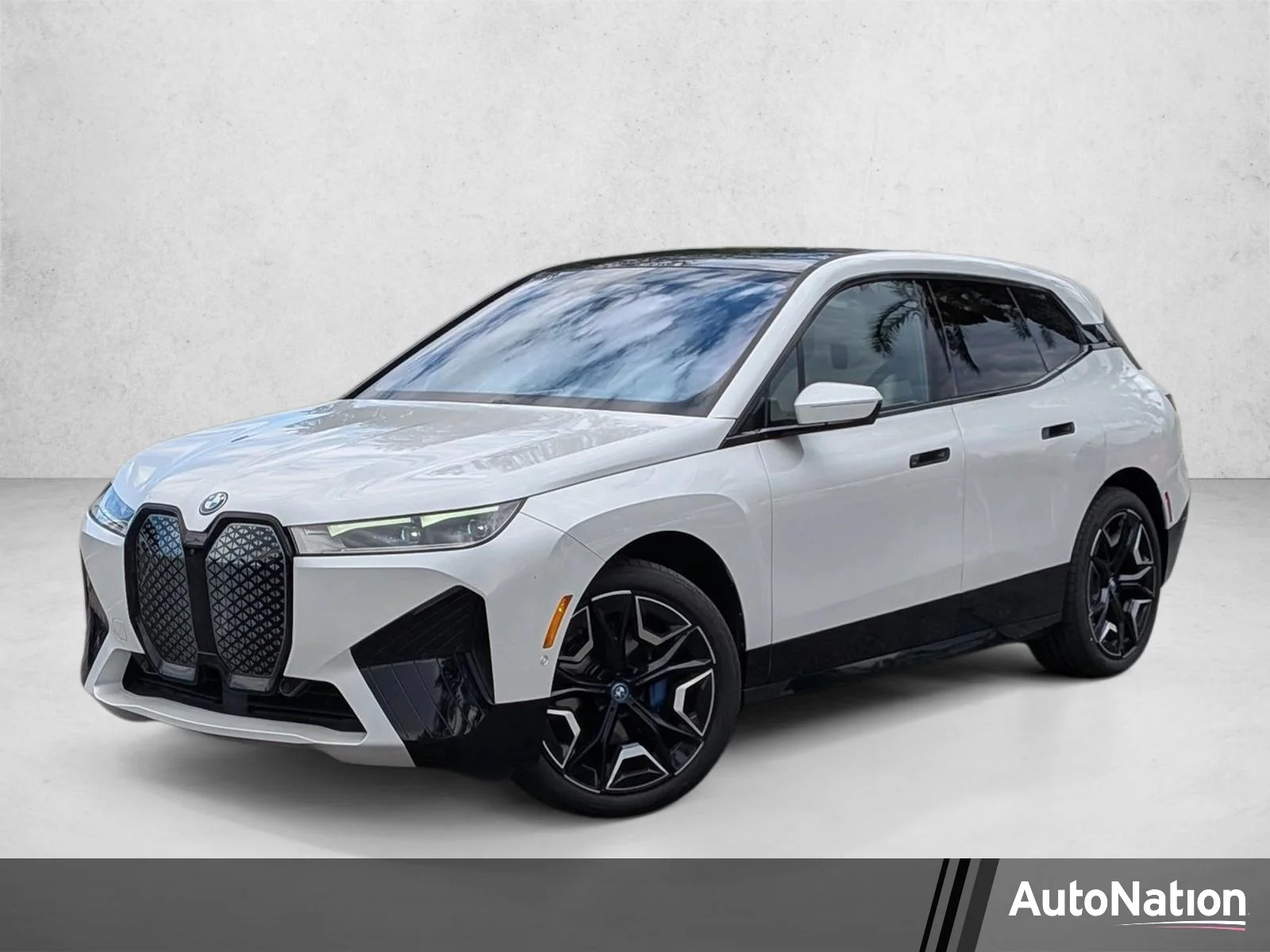 2024 BMW iX