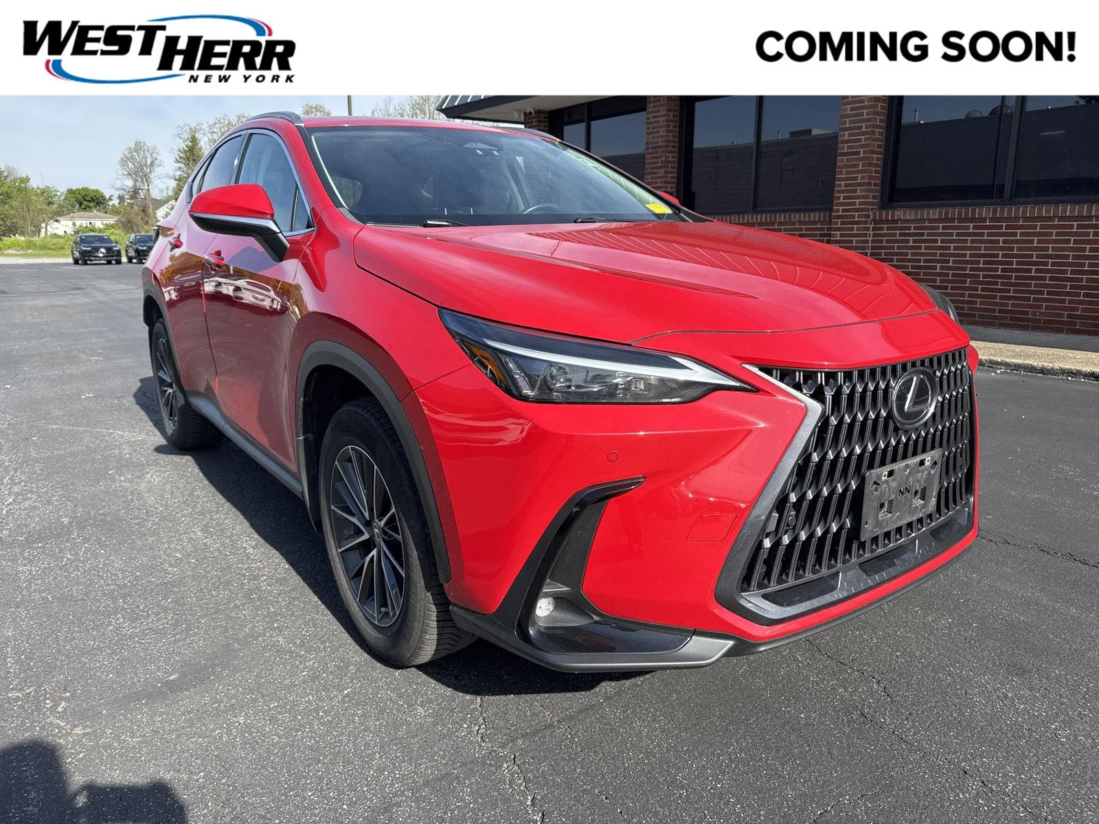 2023 Lexus NX 350 350 Premium AWD's photo