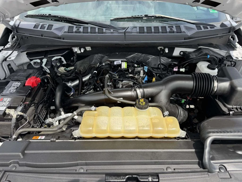 2019 Ford F-150 XL - Photo 13