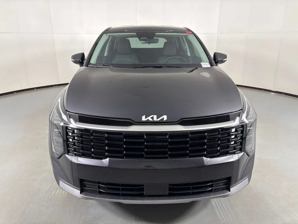 New 2026 Panthera Metal Kia EX image 3