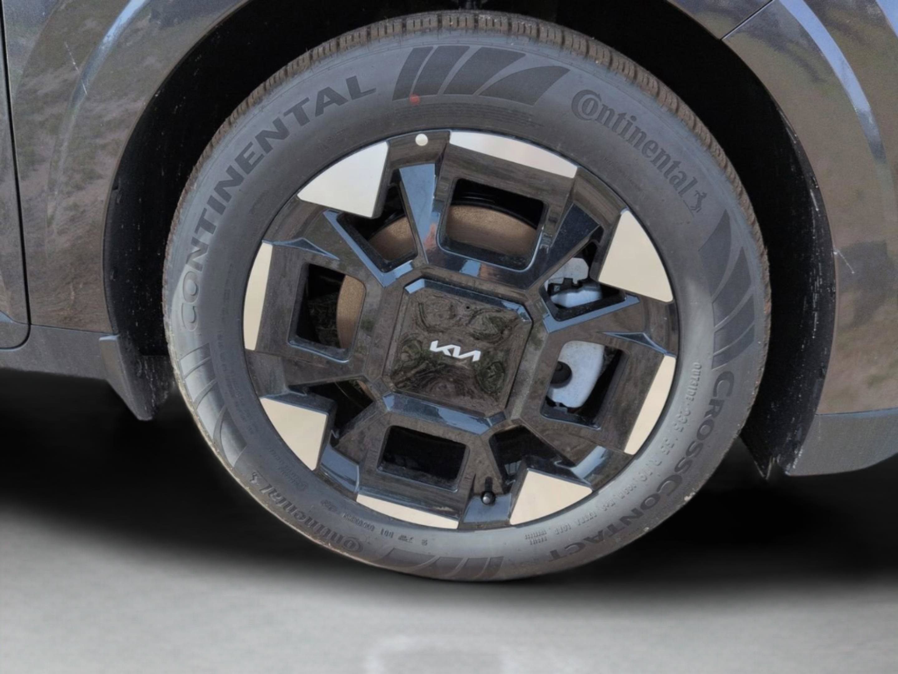 New 2026 Panthera Metal Kia EX image 33