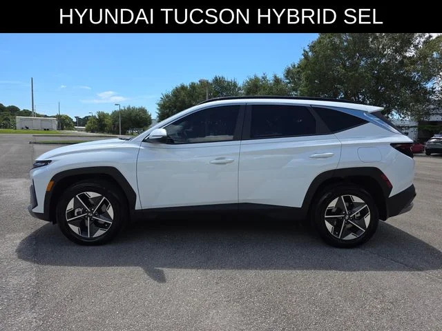 Used 2025 White Hyundai SEL Convenience image 6