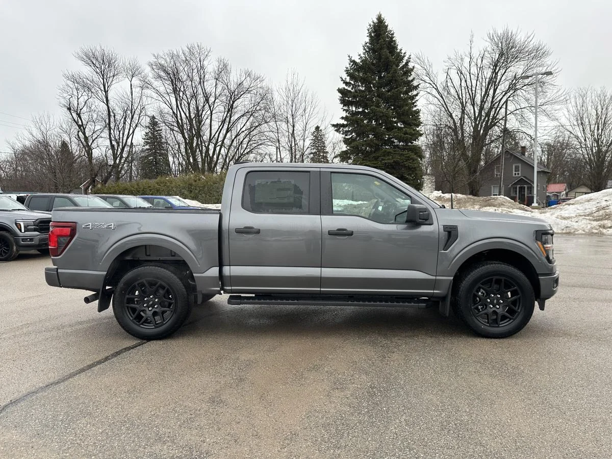 New 2026 Grey Ford STX image 4