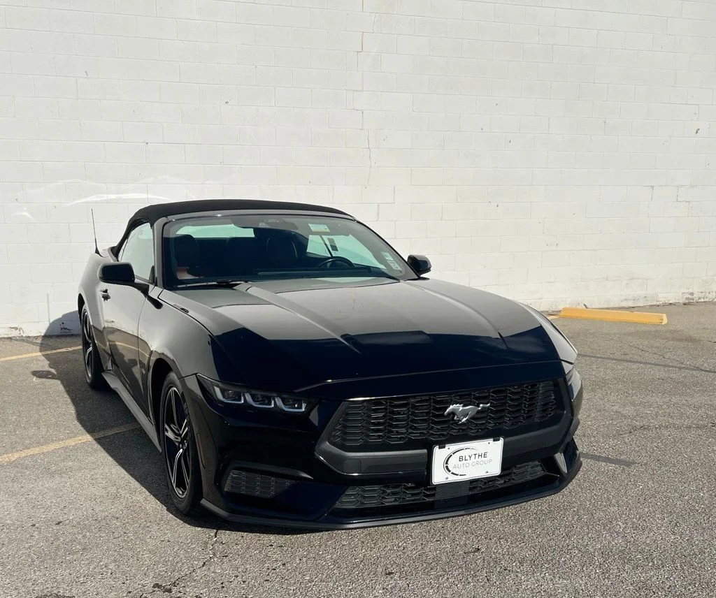 Used 2024 Black Ford EcoBoost Premium image 10