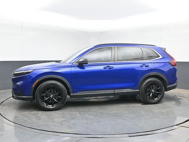 Used 2023 Blue Honda Sport image 5