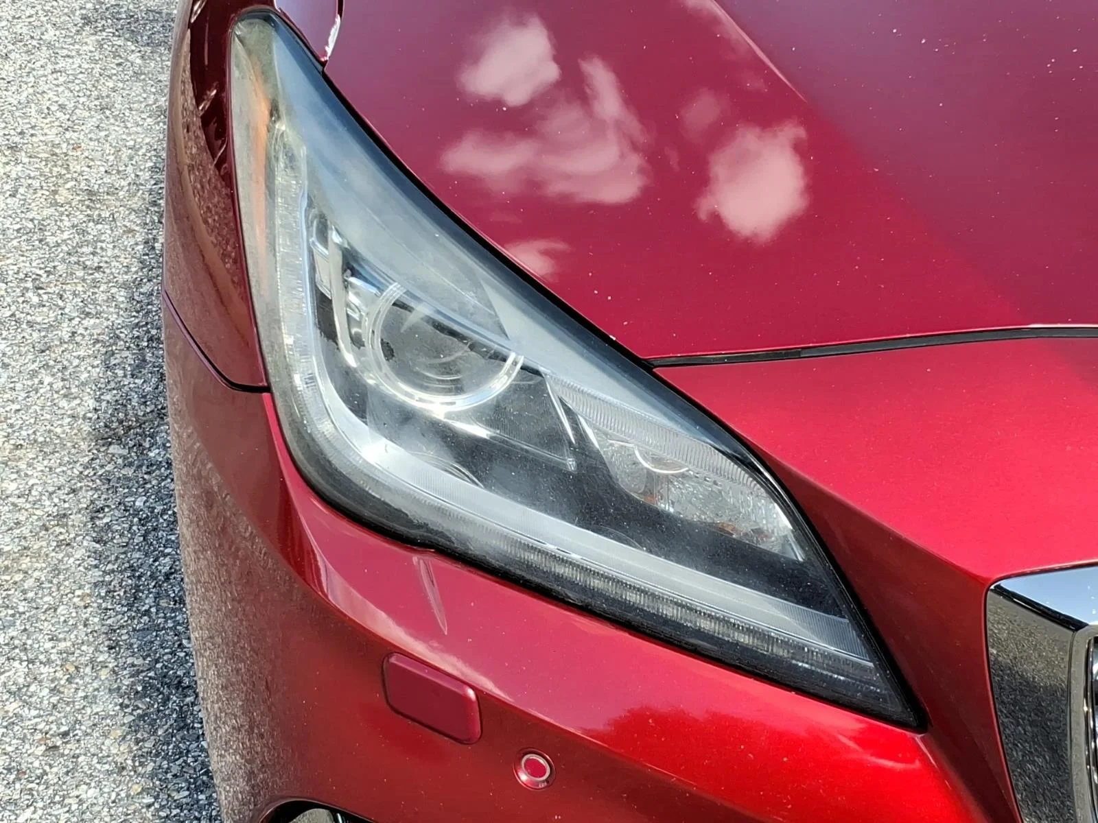 Used 2020 Havana Red Genesis 3.8L image 6