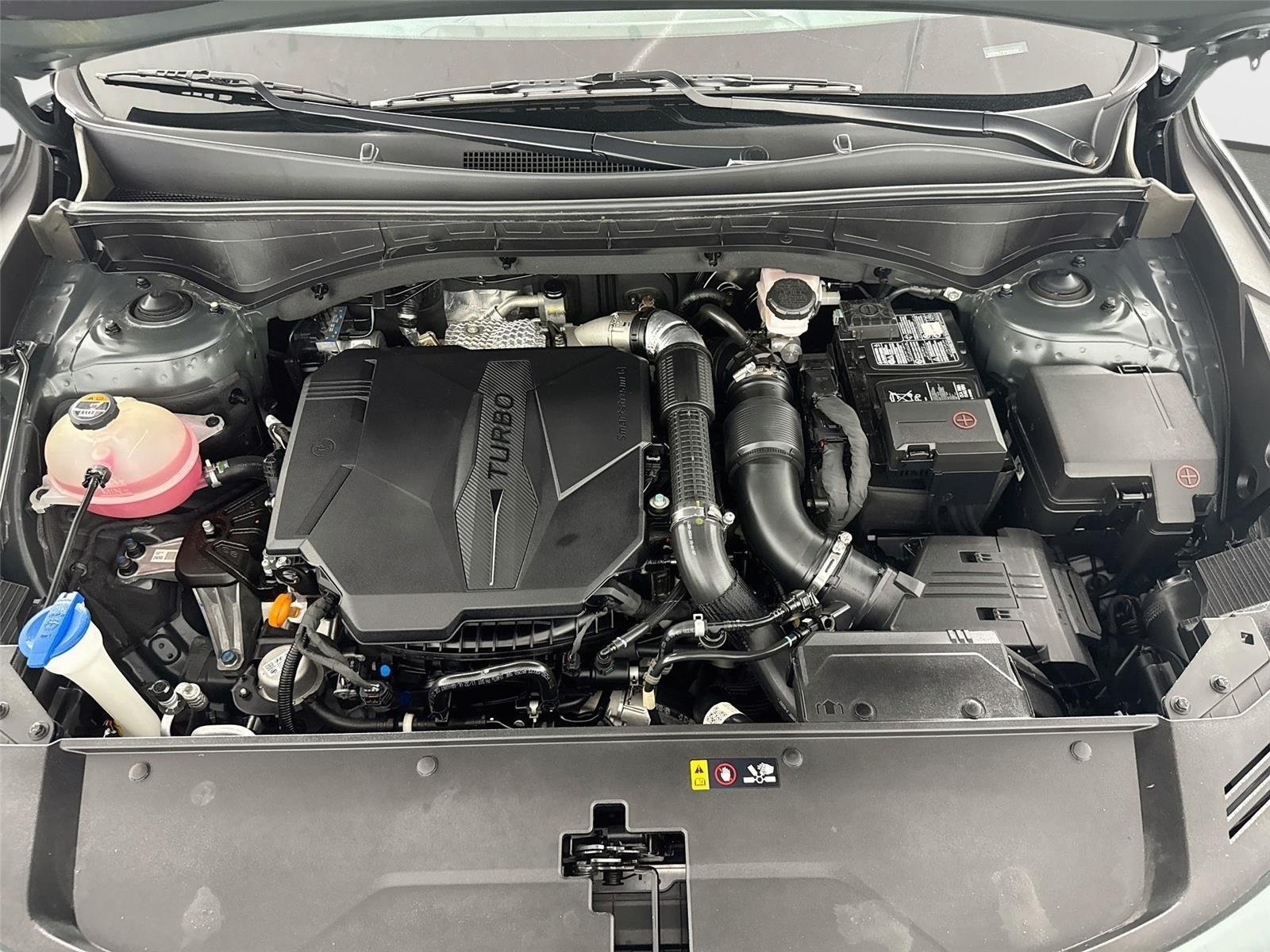 Used 2023 Aruba Green Kia X-Line EX image 31