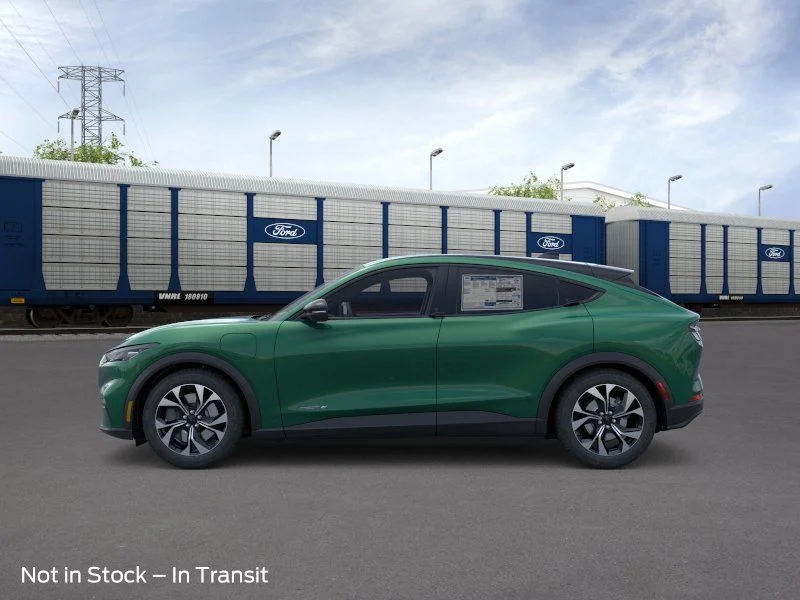New 2026 Eruption Green Metallic Ford Select image 4