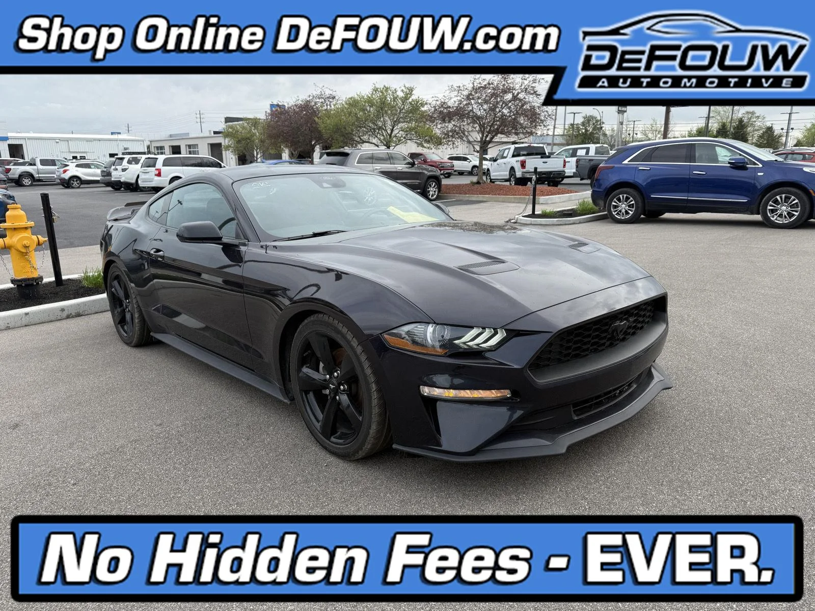 2023 Ford Mustang EcoBoost Fastback's photo