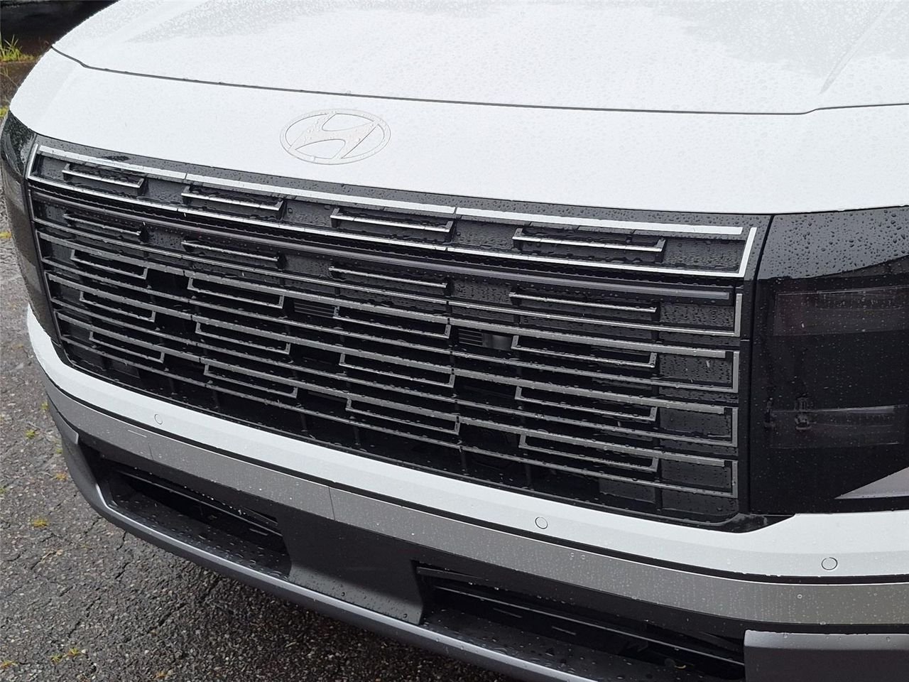 New 2026 Creamy White Pearl Hyundai Blue SEL 8P image 13