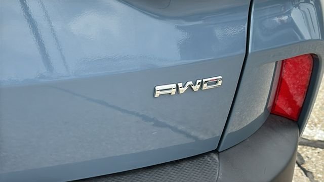 Used 2024 Blue Ford Platinum image 11