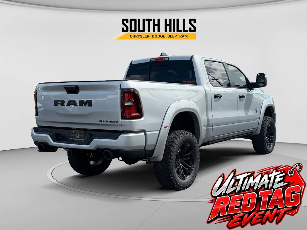 New 2026 Silver Zynith Exterior Paint RAM Big Horn Black Widow image 5