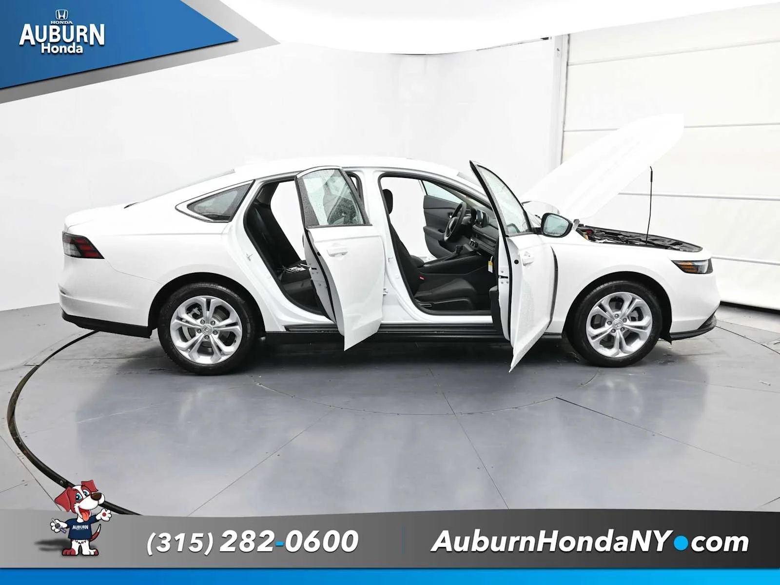 New 2025 Platinum White Pearl Honda LX image 38