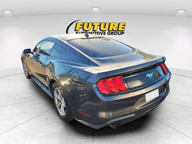 Used 2020 Gray Ford EcoBoost image 4