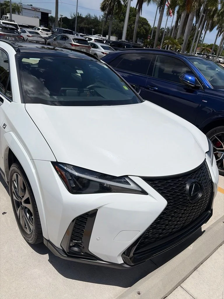 2023 Lexus UX 300h 250h F Sport Handling's photo