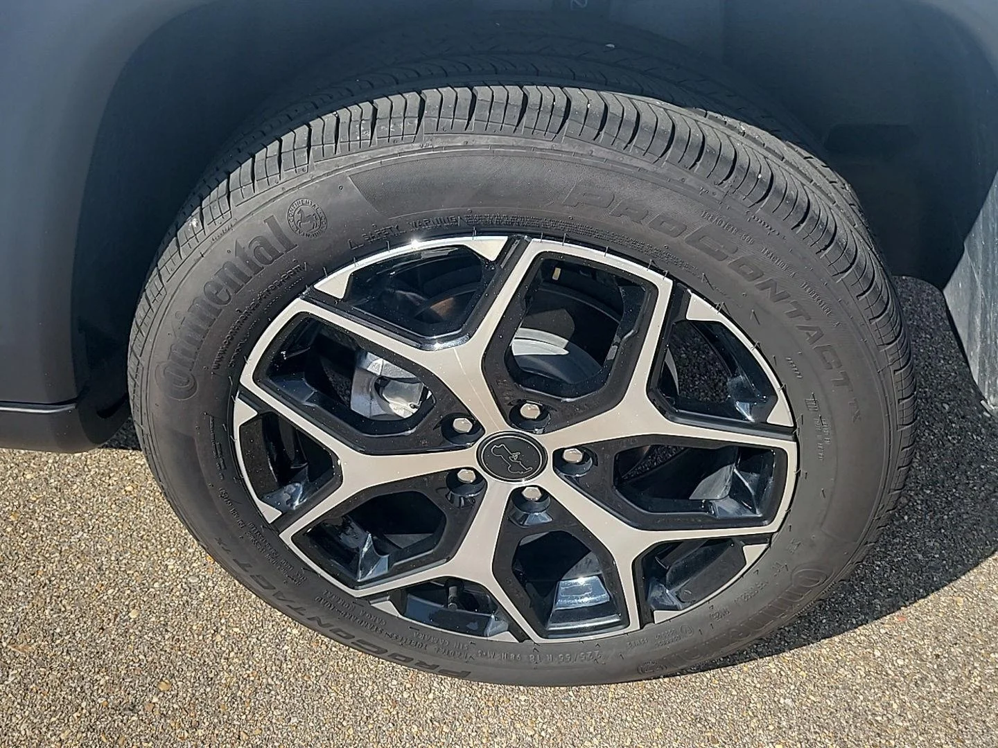 Photo 18