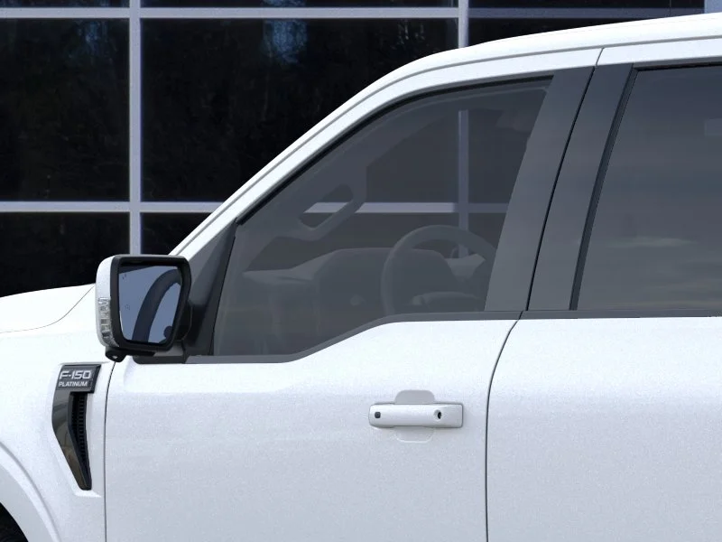 2025 Ford F-150 Platinum - Photo 20