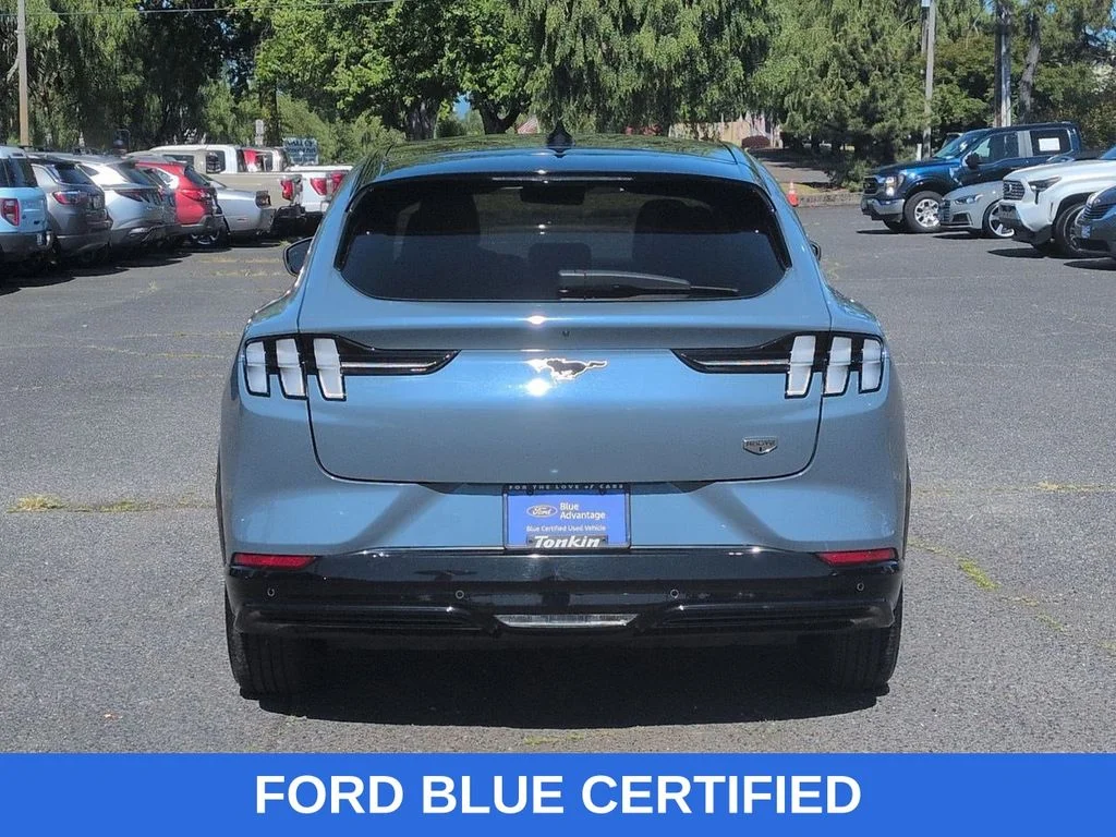 Used 2023 Vapor Blue Ford California Route 1 image 4