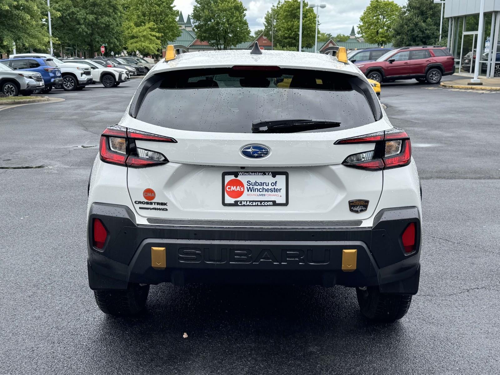 Used 2025 Crystal White Pearl Subaru Wilderness image 3