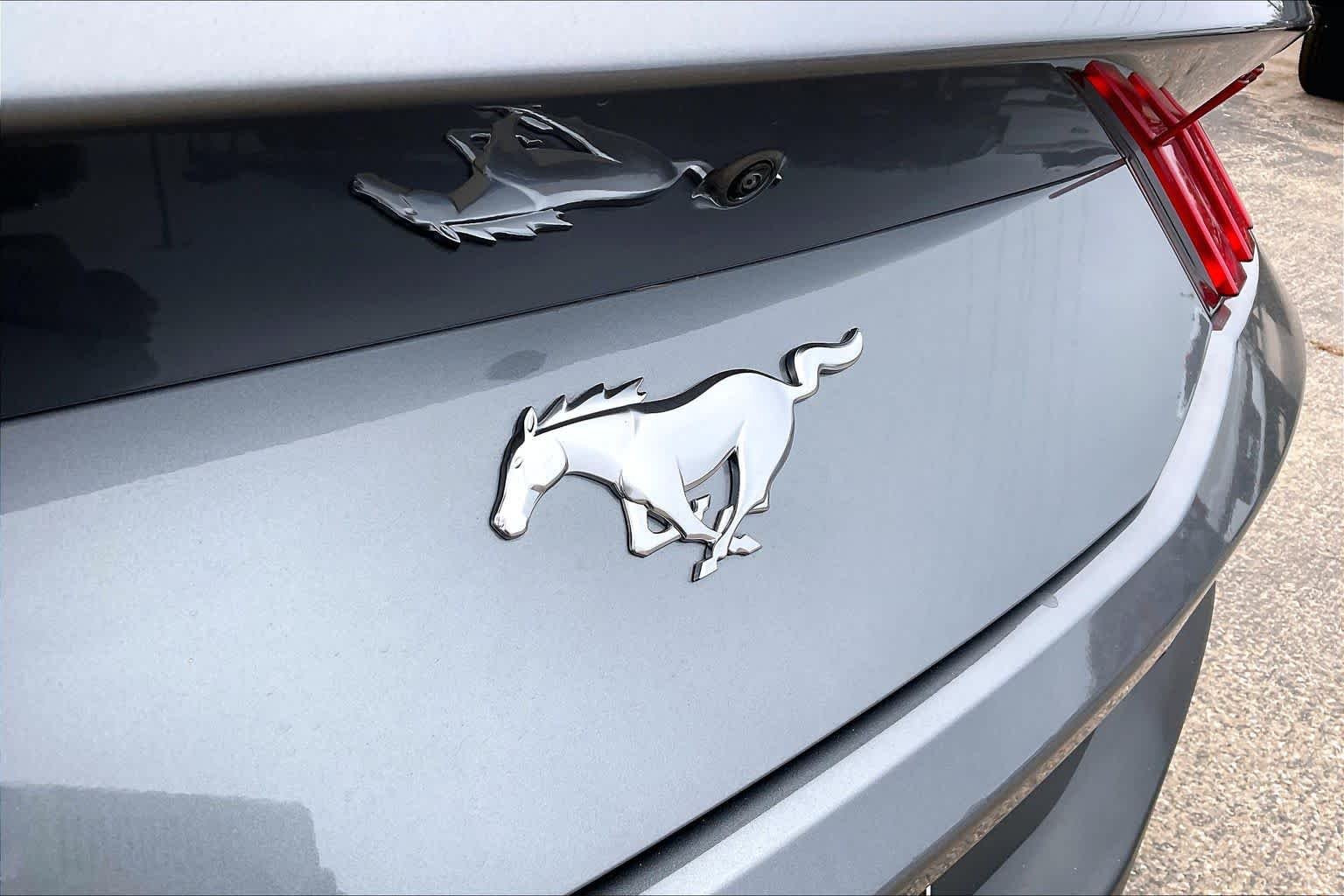 Used 2024 Carbonized Gray Ford EcoBoost Premium image 25