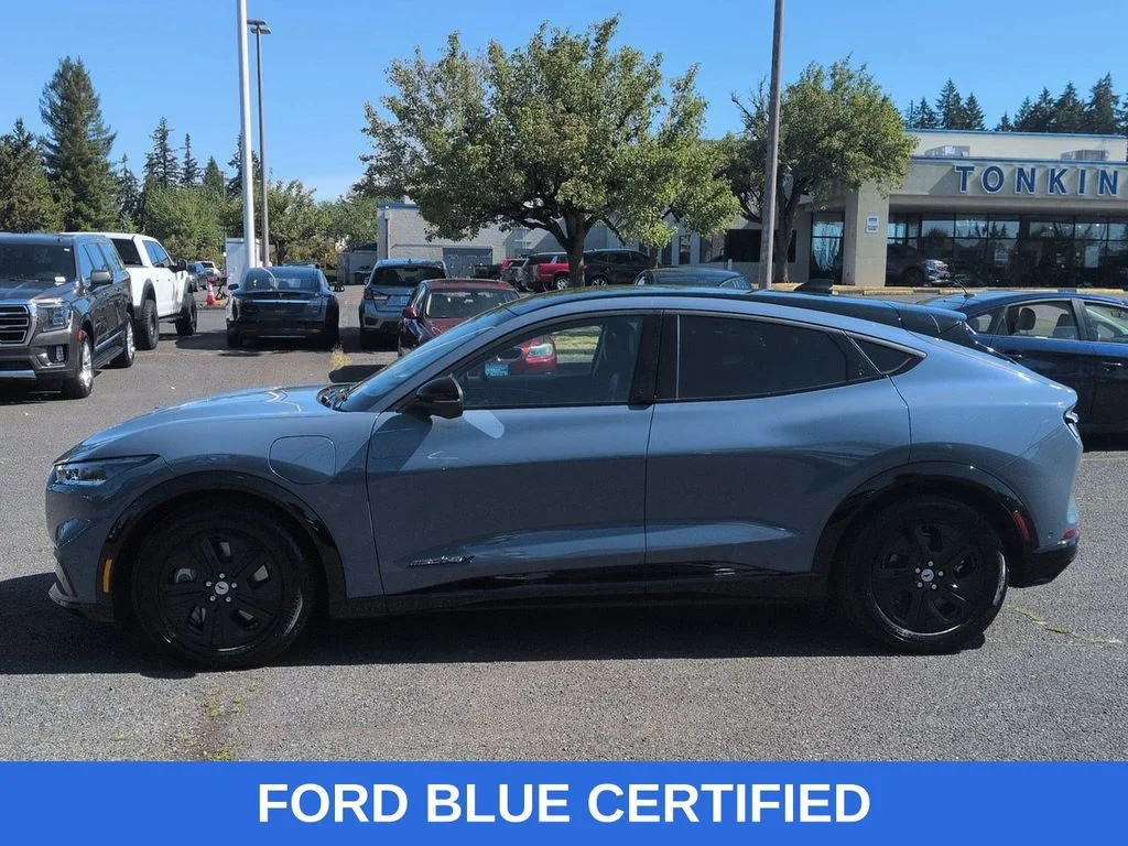Used 2023 Vapor Blue Ford California Route 1 image 2