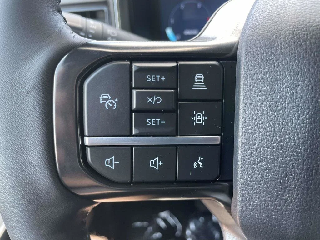 New 2026 Gray Ford Platinum image 24