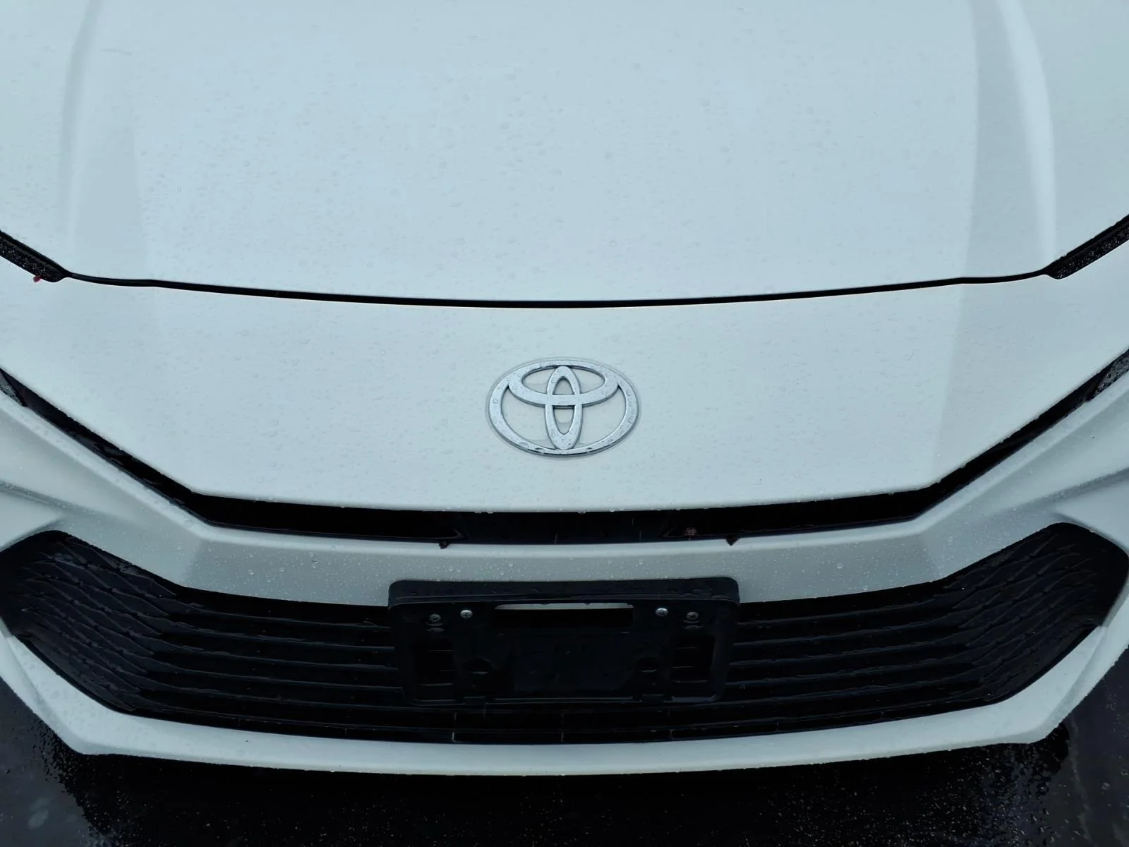 Used 2025  Toyota LE image 12