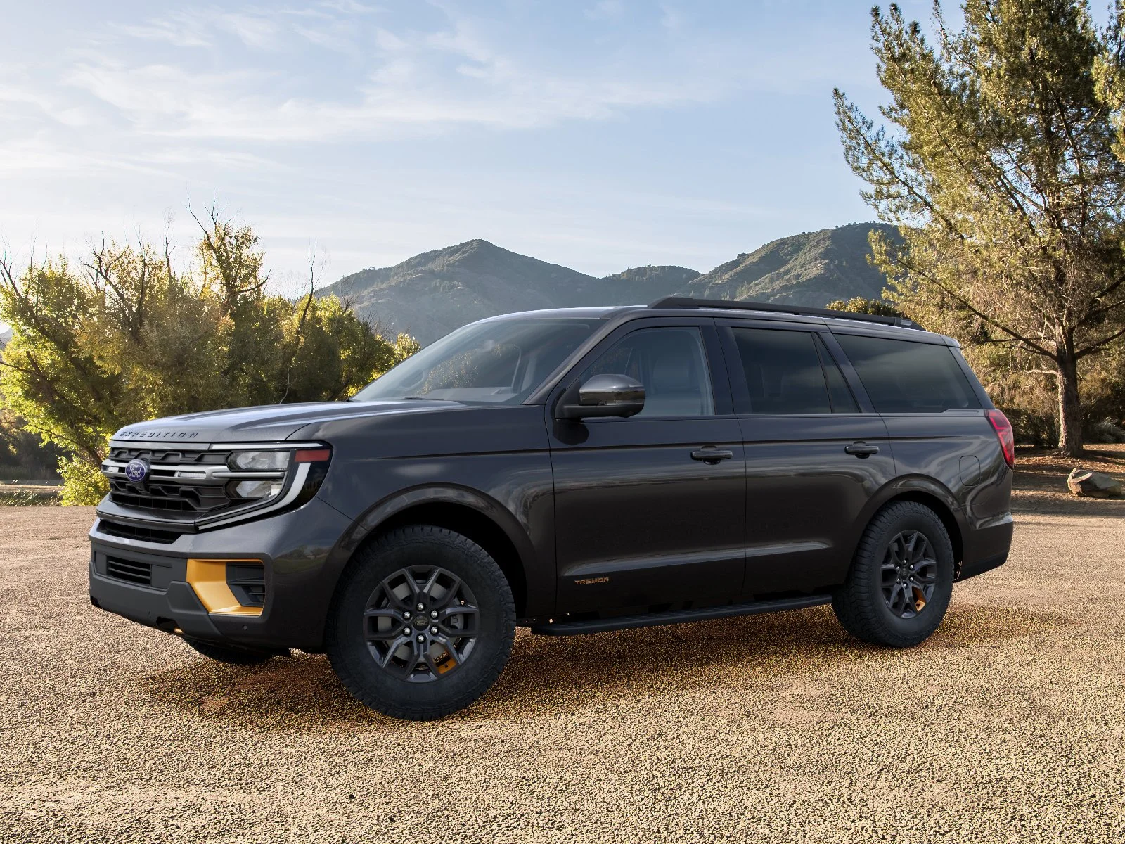 New 2027 Dark Matter Gray Metallic Ford Tremor® image 25