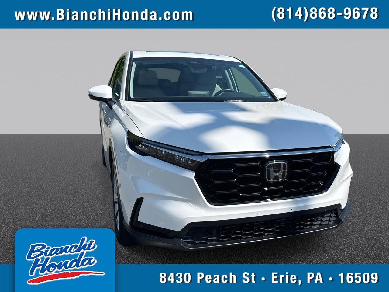 2024 Honda CR-V EX-L AWD's photo