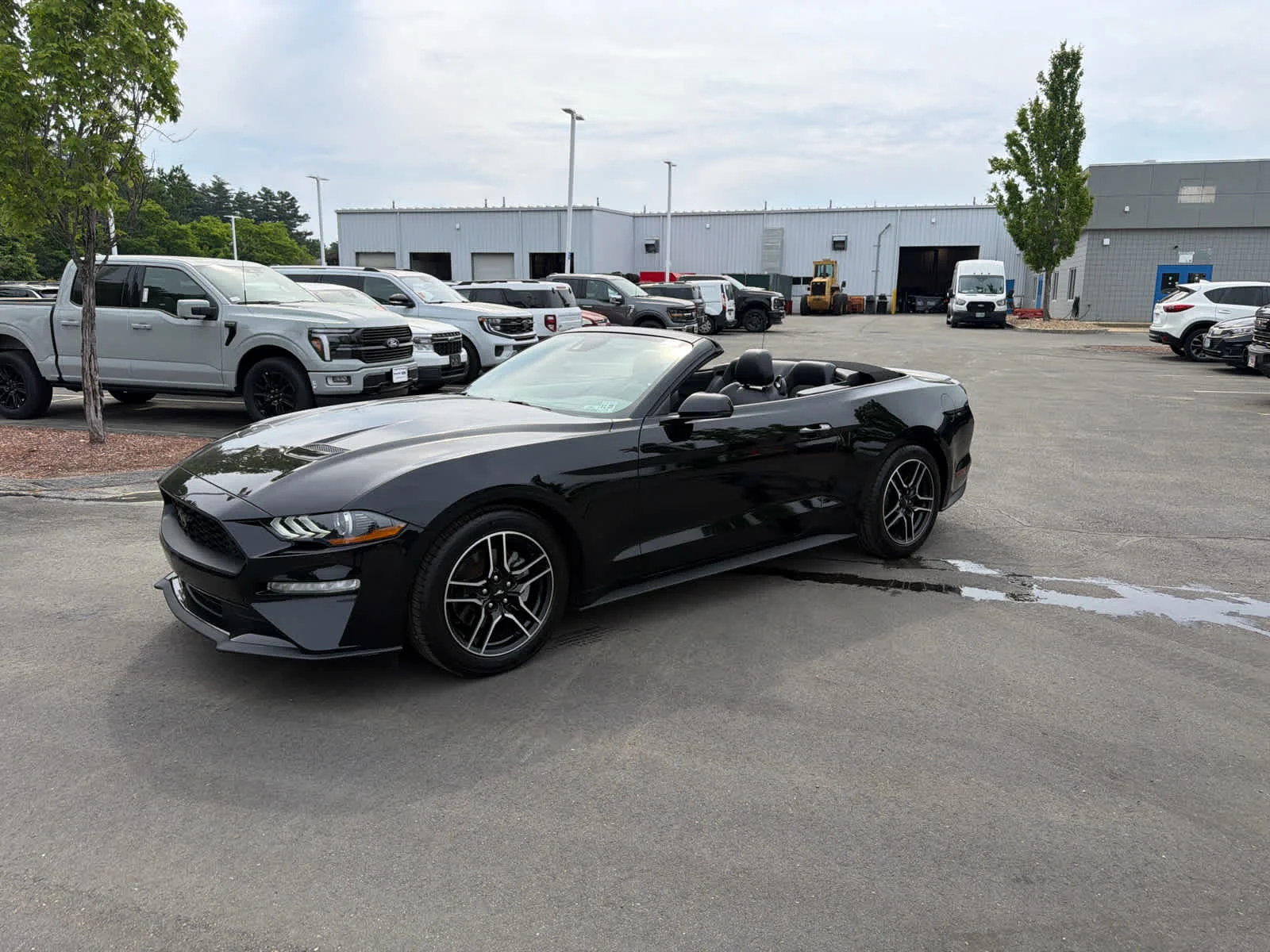 2022 Ford Mustang EcoBoost Premium Convertible's photo