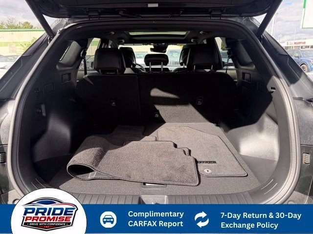 Used 2024 Black Kia X-Line image 14