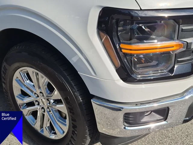 Used 2024 White Ford XLT image 9