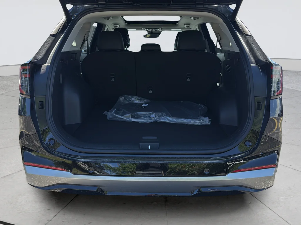 New 2026 Panthera Metal Kia SX-Prestige image 9