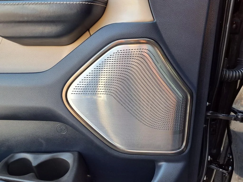 Used 2019 Black Ram Limited image 20