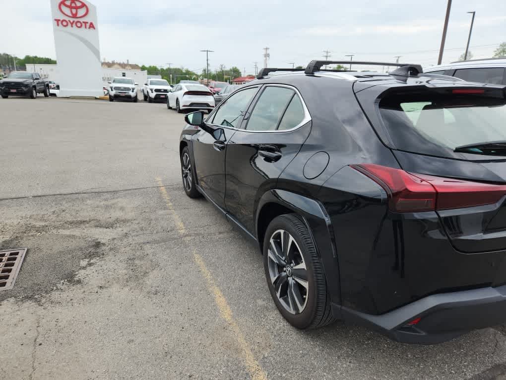 2024 Lexus UX 300h 250h Premium AWD's photo