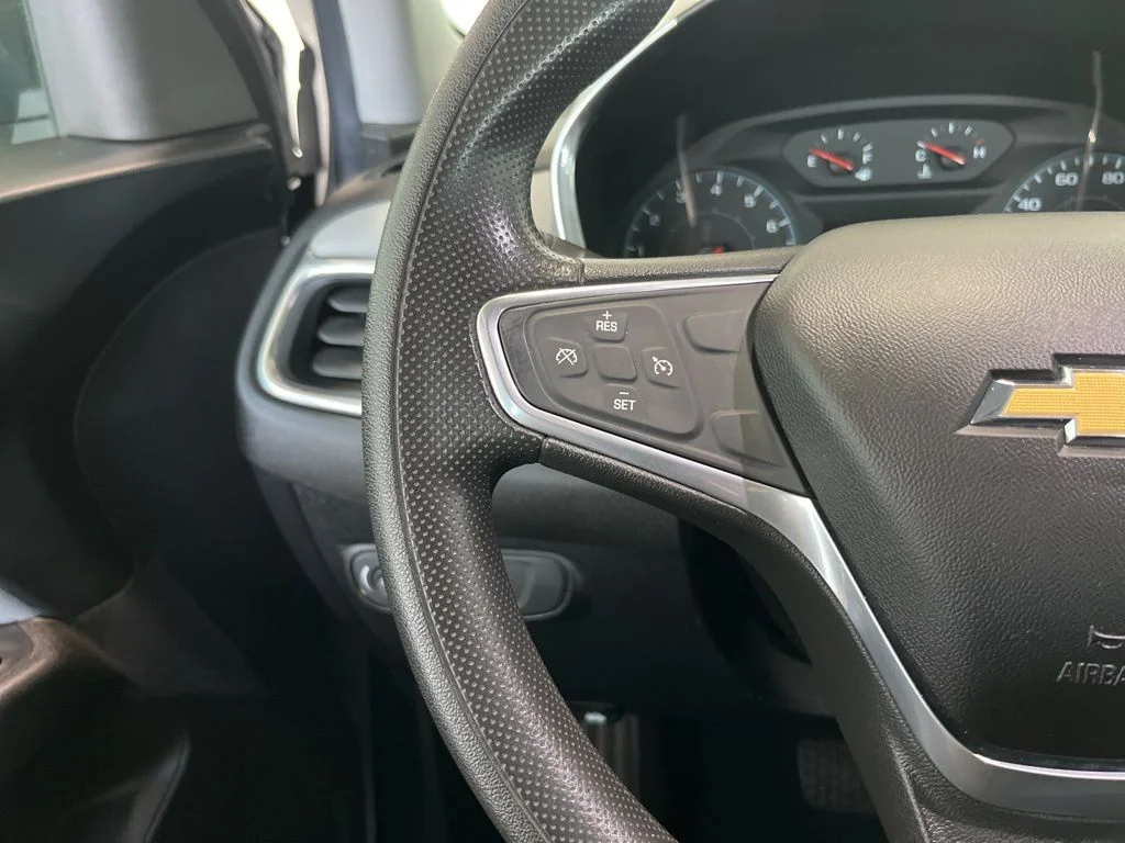 Used 2019 Silver Chevrolet LS image 6