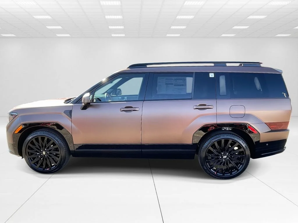 New 2026  Hyundai Calligraphy image 4