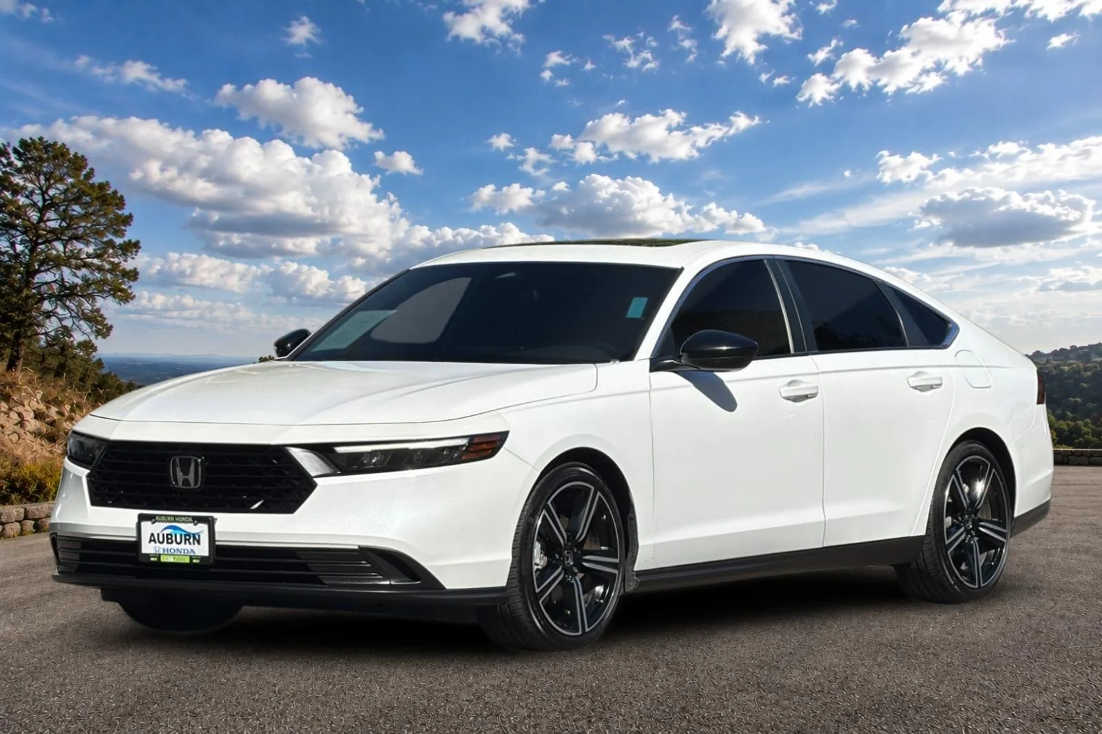 Used 2023 Platinum White Pearl Honda Sport image 9
