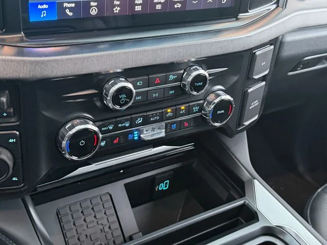 New 2026 Black Ford Platinum image 13