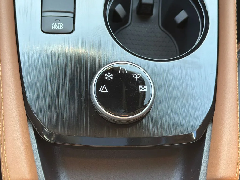 New 2026 Gun Metallic Nissan Platinum image 29