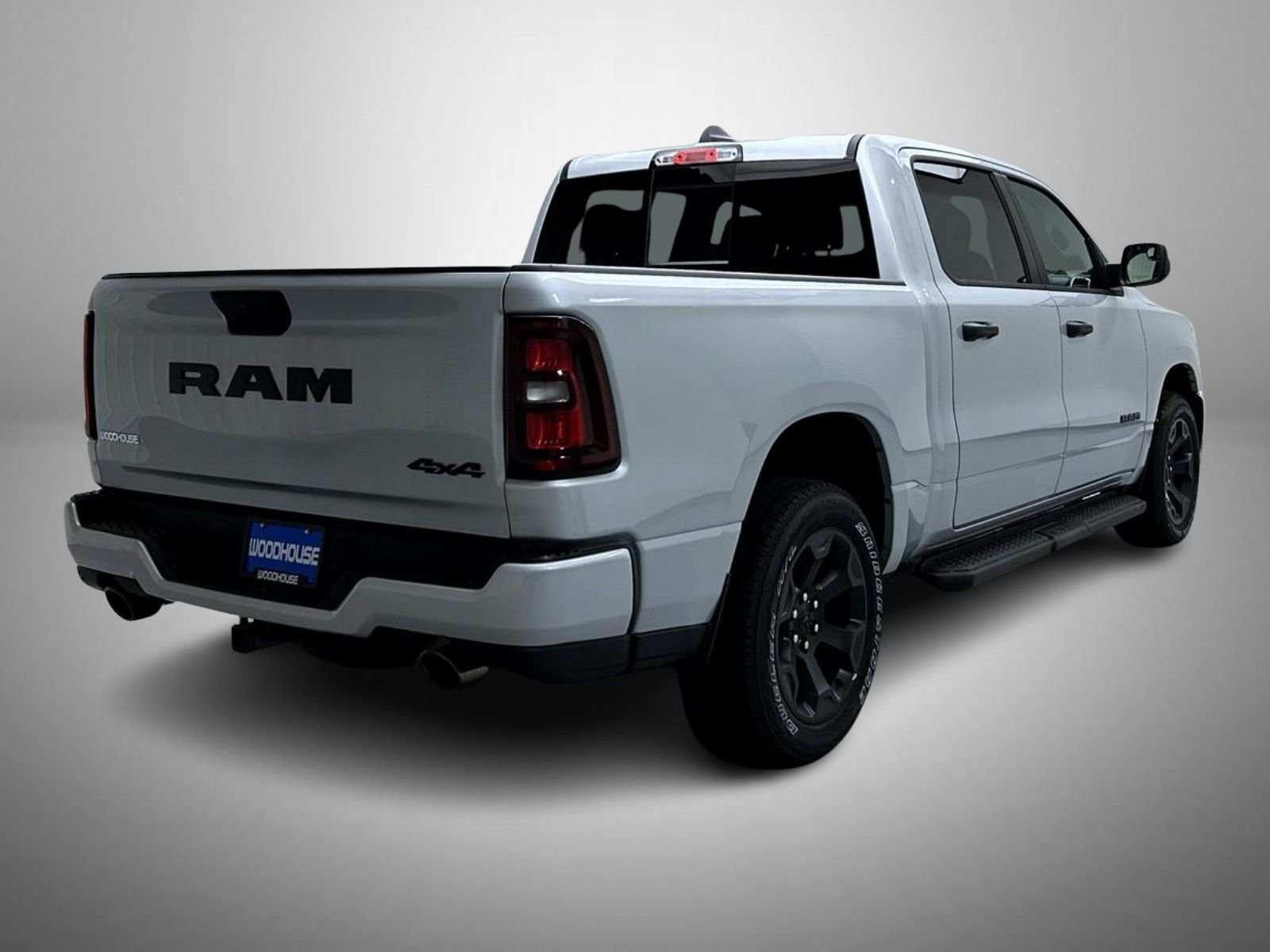 New 2026 Silver Zynith Exterior Paint RAM Express image 5