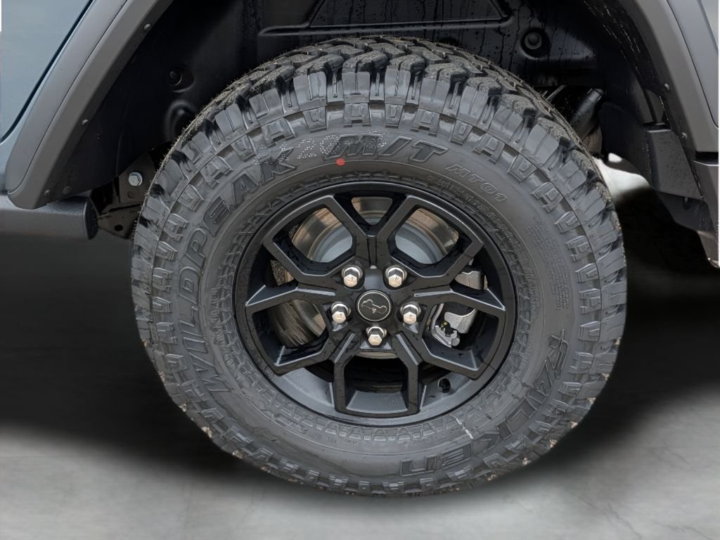 New 2026 Anvil Clear-Coat Exterior Paint Jeep Willys Sport image 3