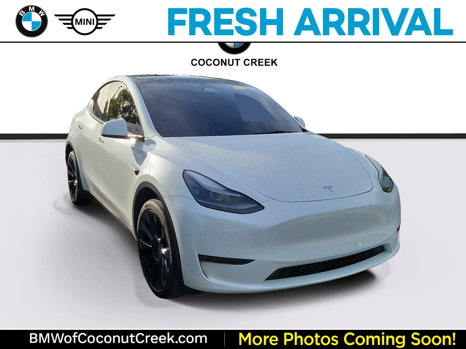 2025 Tesla Model Y Long Range Dual Motor All-Wheel Drive's photo