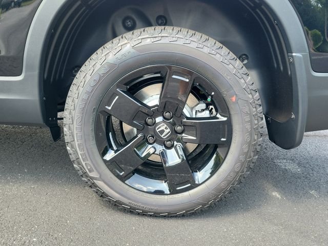 New 2026 Crystal Black Pearl Honda Black Edition image 7