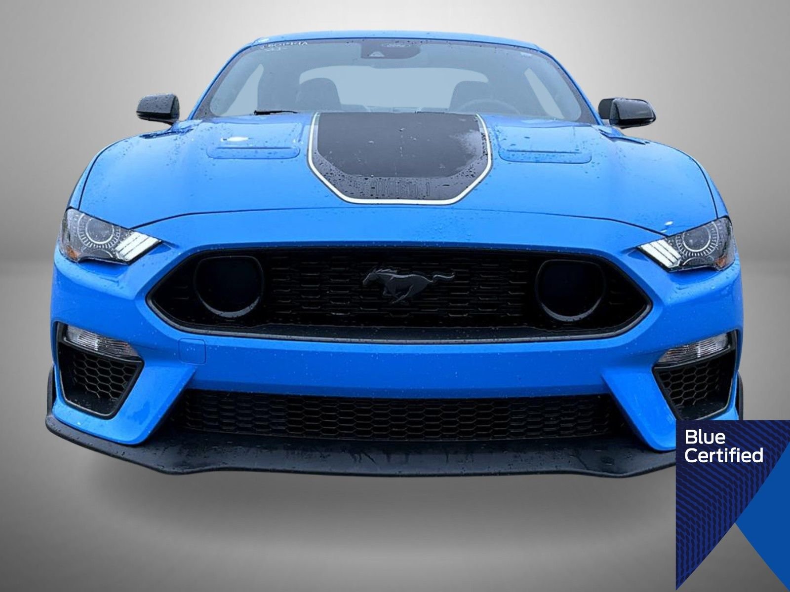 Certified Used 2023 Grabber Blue Ford Mach 1 image 2