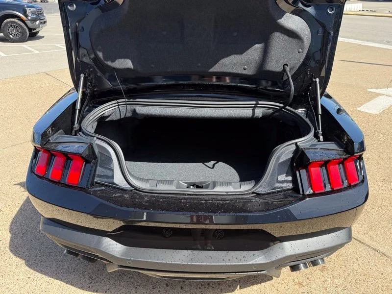 New 2025 Shadow Black Ford GT Premium Convertible image 10